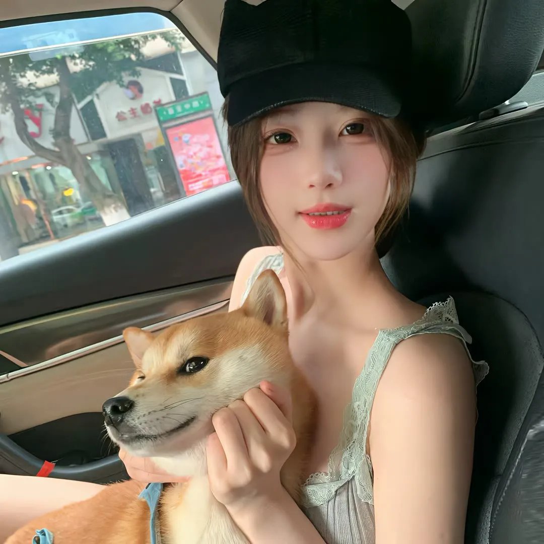 飞行员呆呆鸟